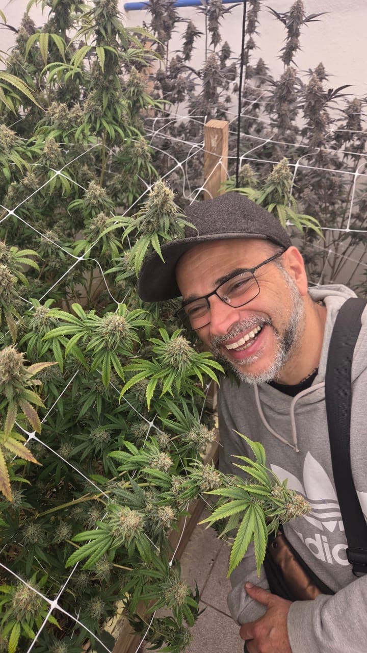 Prof. Thomaz Enlazador em visita técnica a cultivo de cannabis medicinal